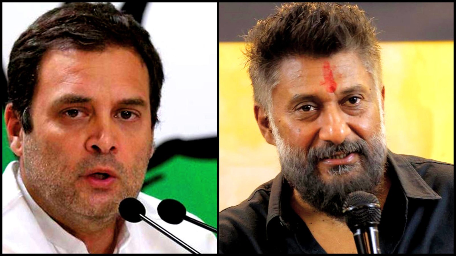 Vivek Ranjan Agnihotri Slammed Congress leader Rahul Gandhi